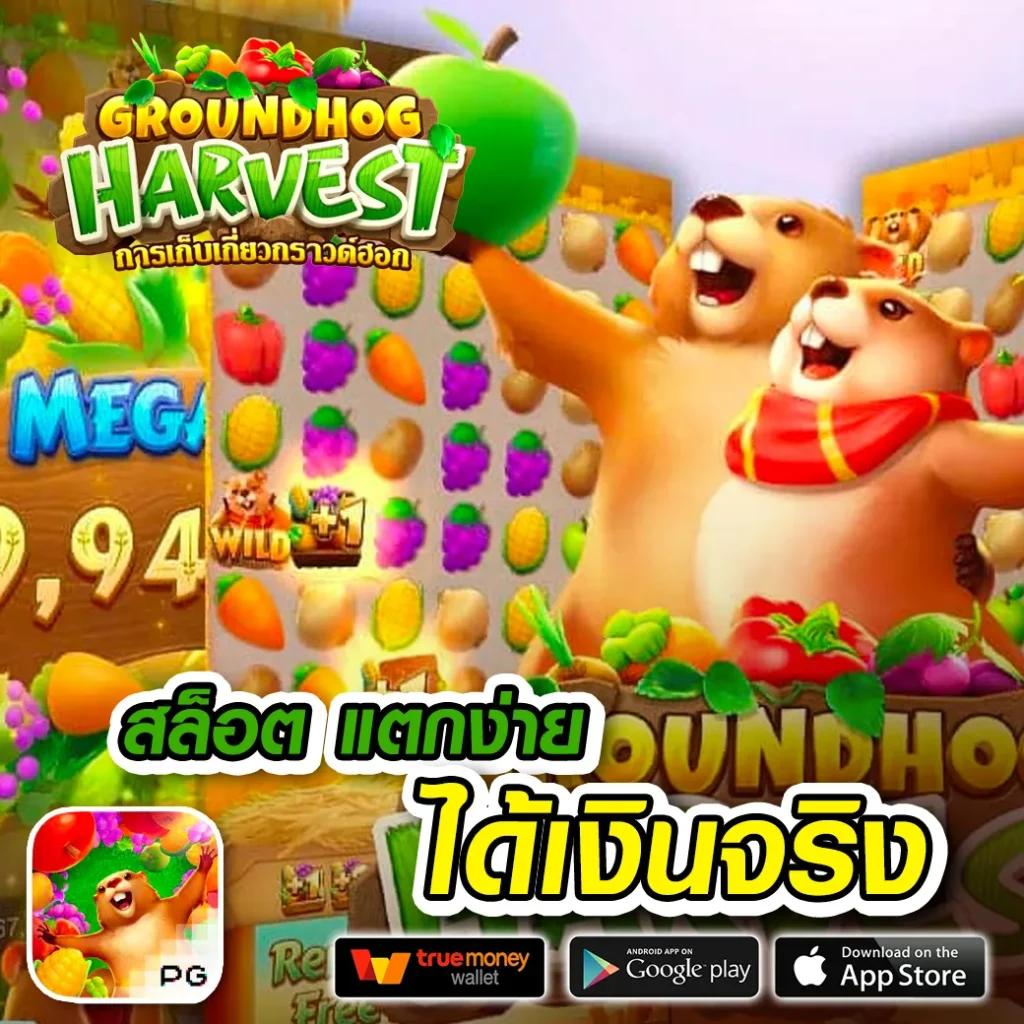 manggon168 แหล่งรวมเกมพนันออนไลน์ครบวงจร อัปเดตล่าสุด 2024