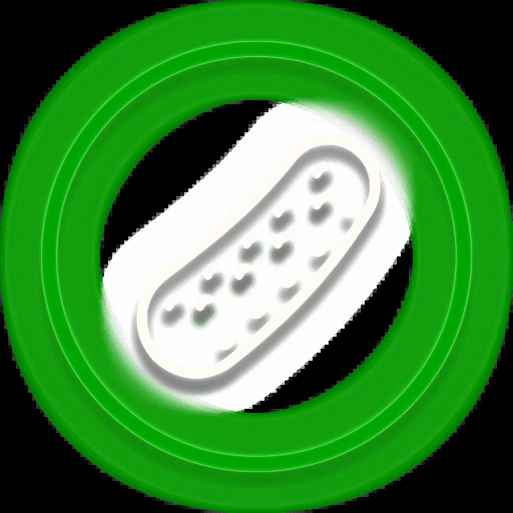 Men's Competition Barbell Set